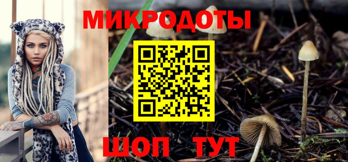 Псилоцибиновые грибы мицелий Кемерово